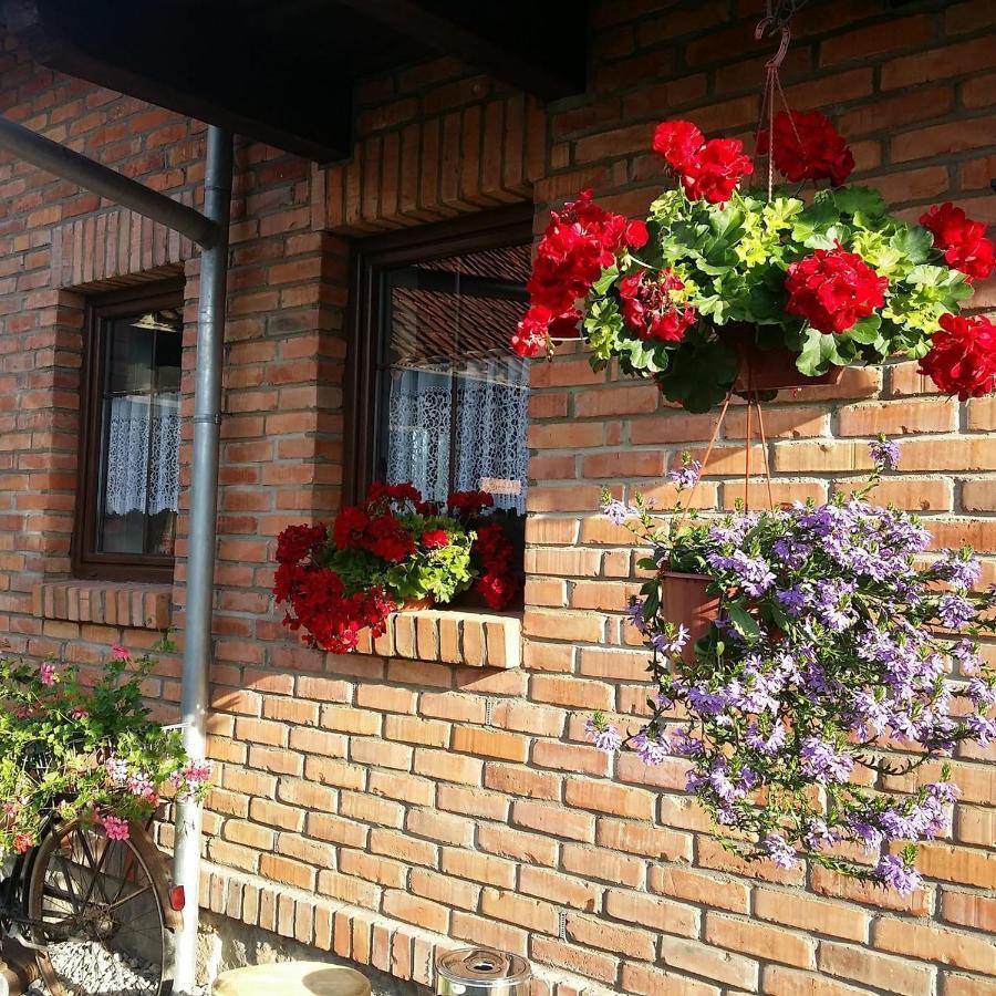 Gosciniec Galkowo Guest House Exterior foto